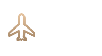 急速运输
